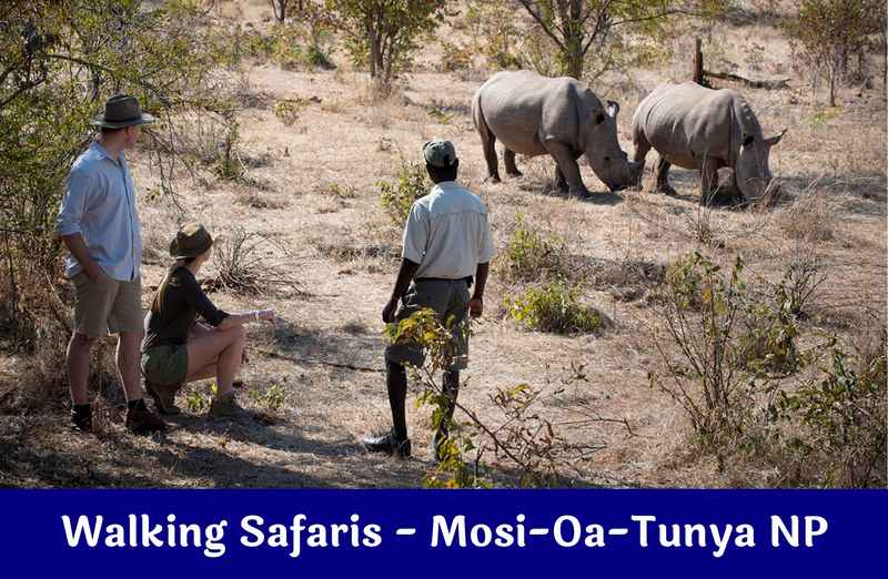 Walking Safaris – Mosi-Oa-Tunya National Park – LVVP